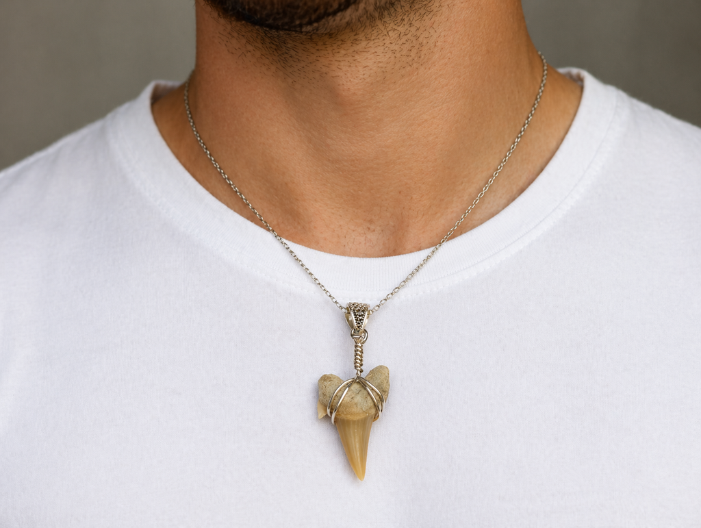 Otodus Shark Tooth Pendant – Real Fossil Necklace on Sterling Silver Chain
