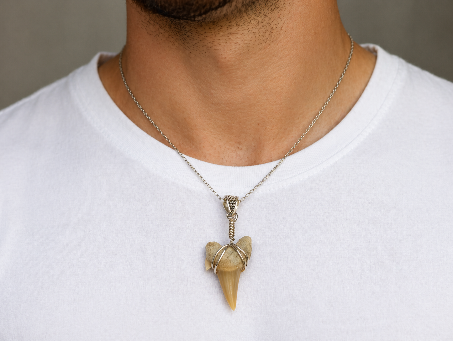 Otodus Shark Tooth Pendant – Real Fossil Necklace on Sterling Silver Chain
