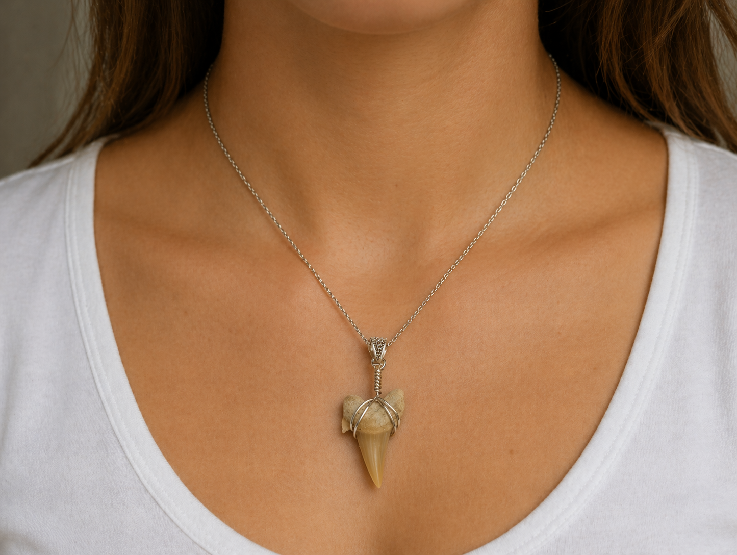 Otodus Shark Tooth Pendant – Real Fossil Necklace on Sterling Silver Chain