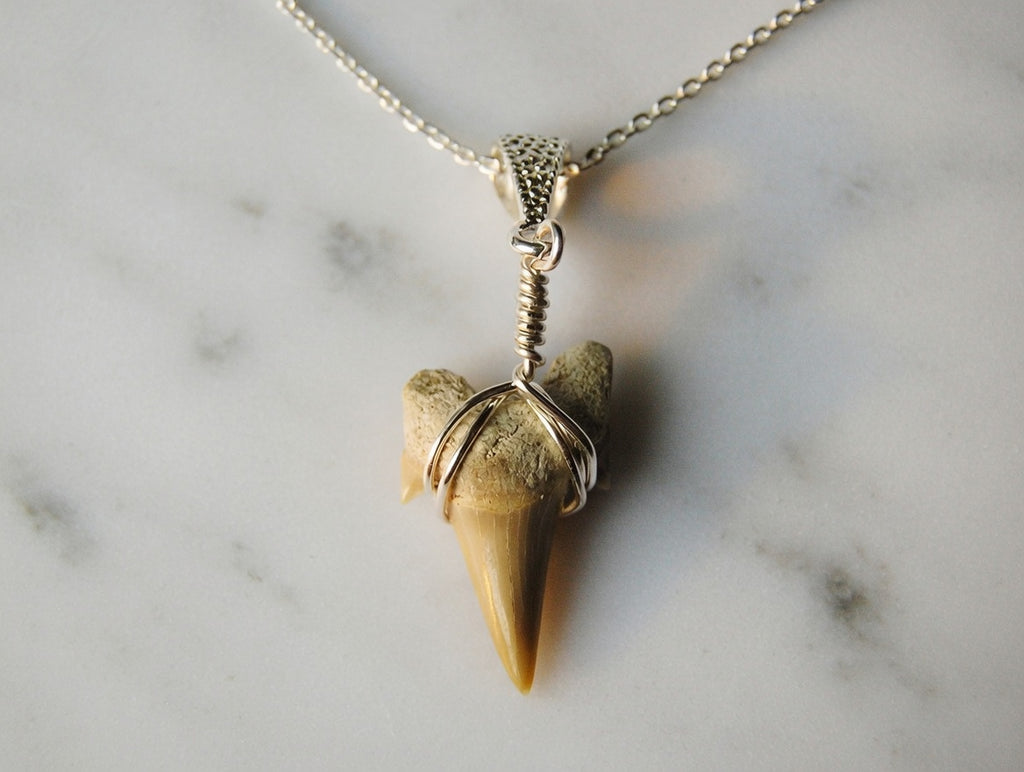 Otodus Shark Tooth Pendant – Real Fossil Necklace on Sterling Silver Chain