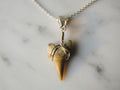 Otodus Shark Tooth Pendant – Real Fossil Necklace on Sterling Silver Chain