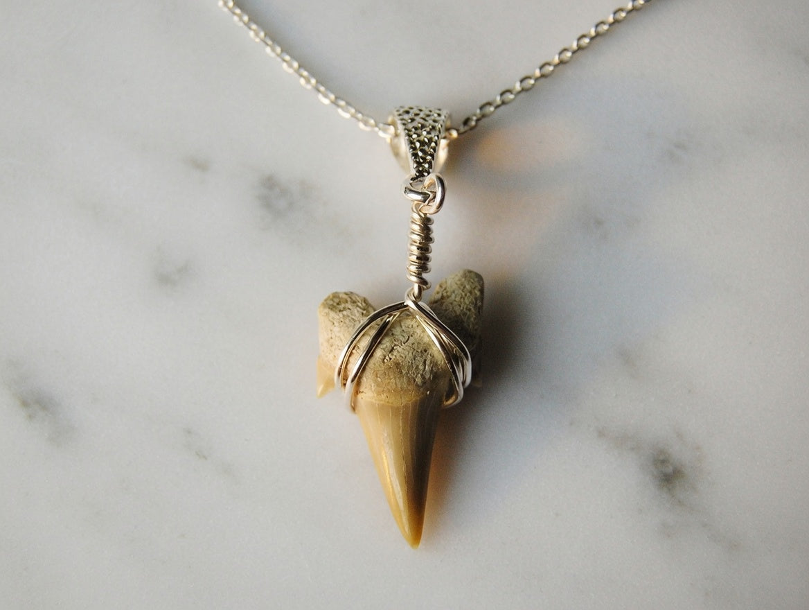Otodus Shark Tooth Pendant – Real Fossil Necklace on Sterling Silver Chain