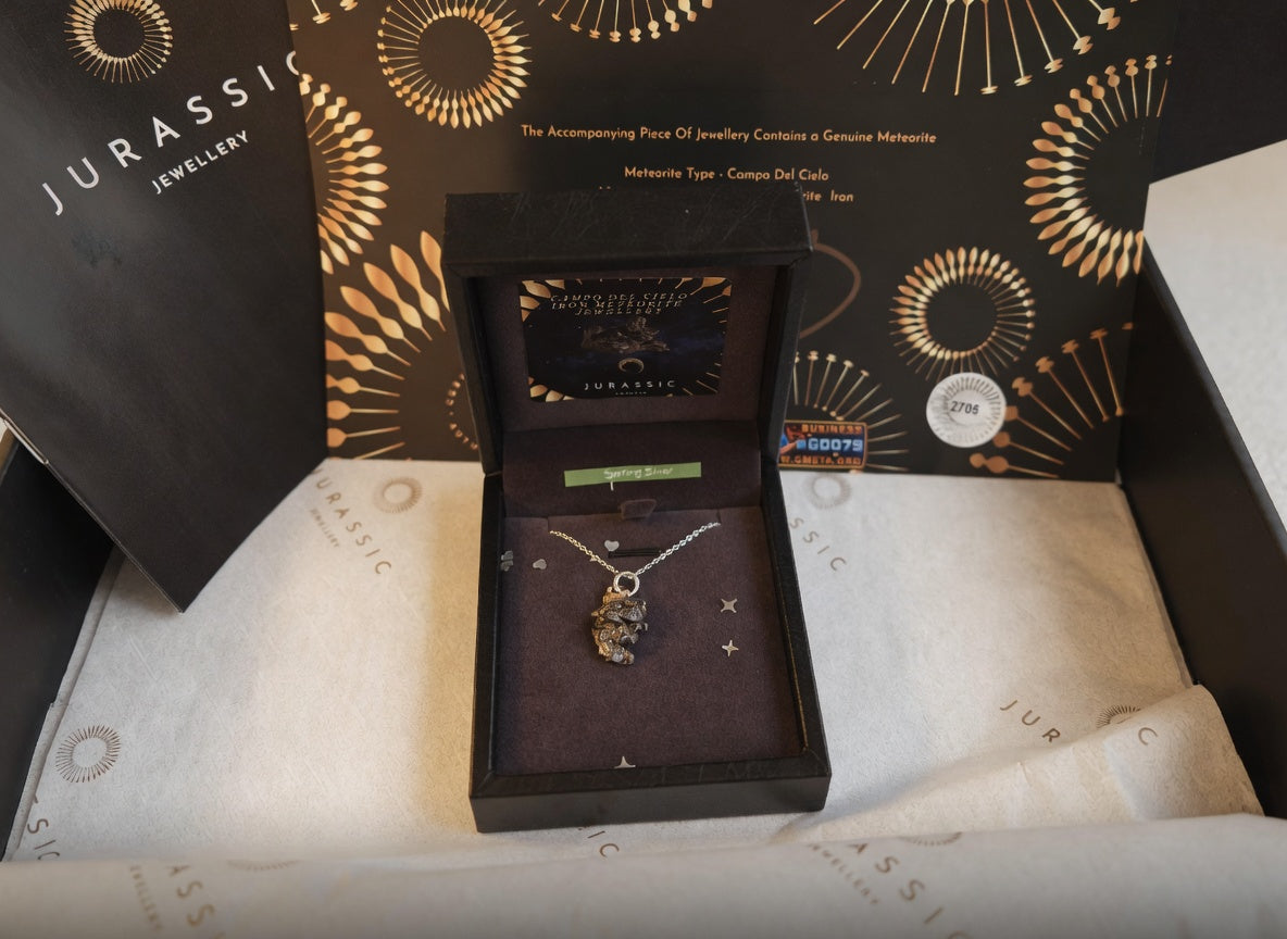 Campo Del Cielo Meteorite Pendant – Iron Meteorite Necklace – Sterling Silver Chain