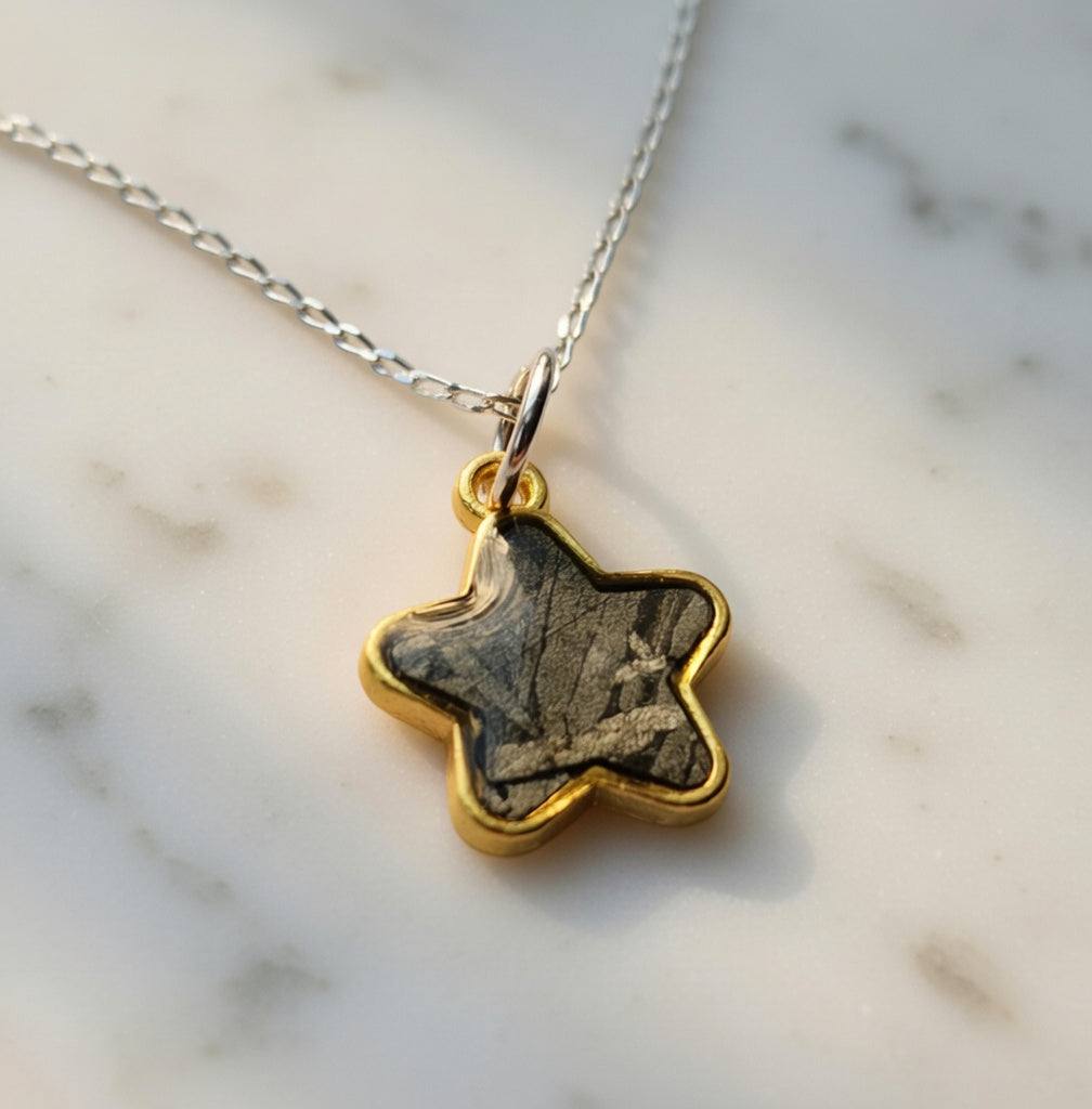 Etched Iron Meteorite Star Pendant – Aletai Meteorite Necklace – Sterling Silver Chain